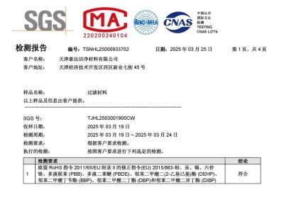 ROSH十項檢測報告